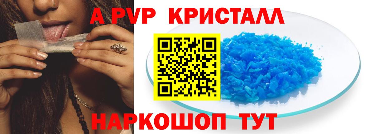 A PVP СК КРИС Новоалтайск