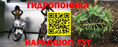 ALPHA PVP Славгород