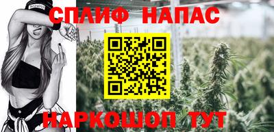 сатива Славянск-на-Кубани