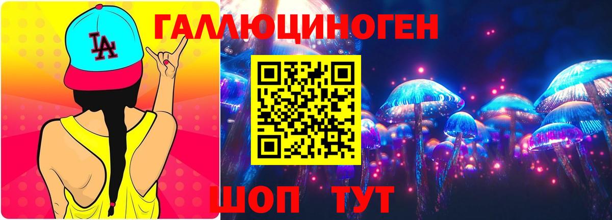 продажа наркотиков  Псилоцибиновые грибы MAGIC MUSHROOMS  Вход с VPN  Новоалтайск 